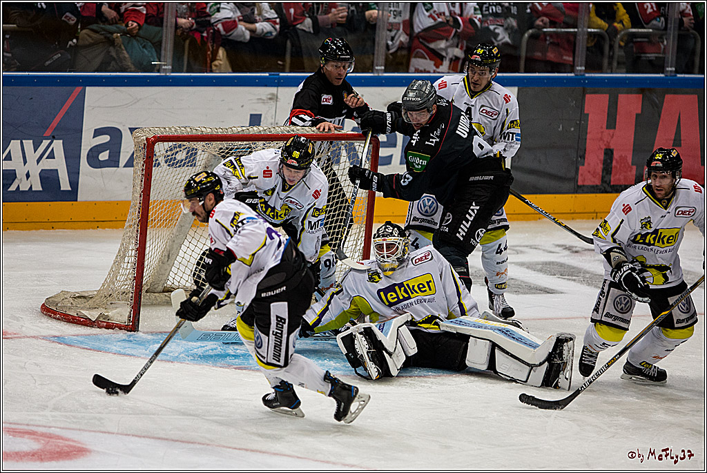 Koelner Haie - Krefelder Pinguine, 22.11.2016